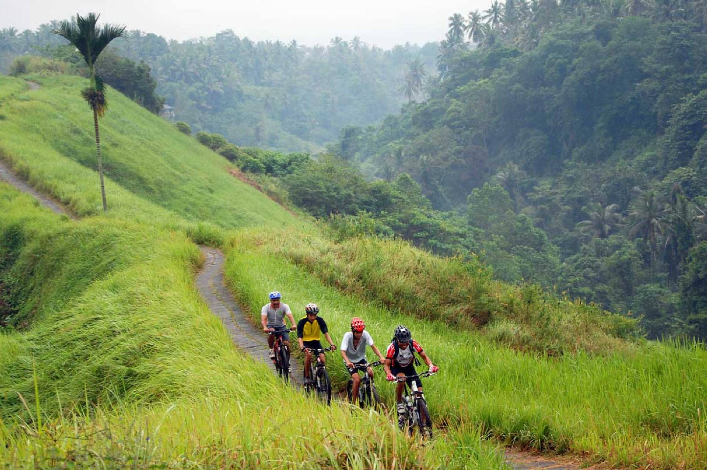 Private Cycling Tour