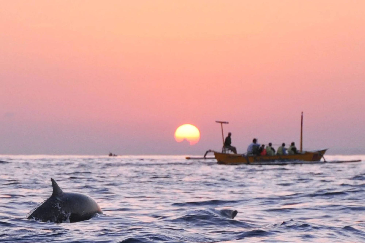 Sunrise Dolphin Tour in Lovina