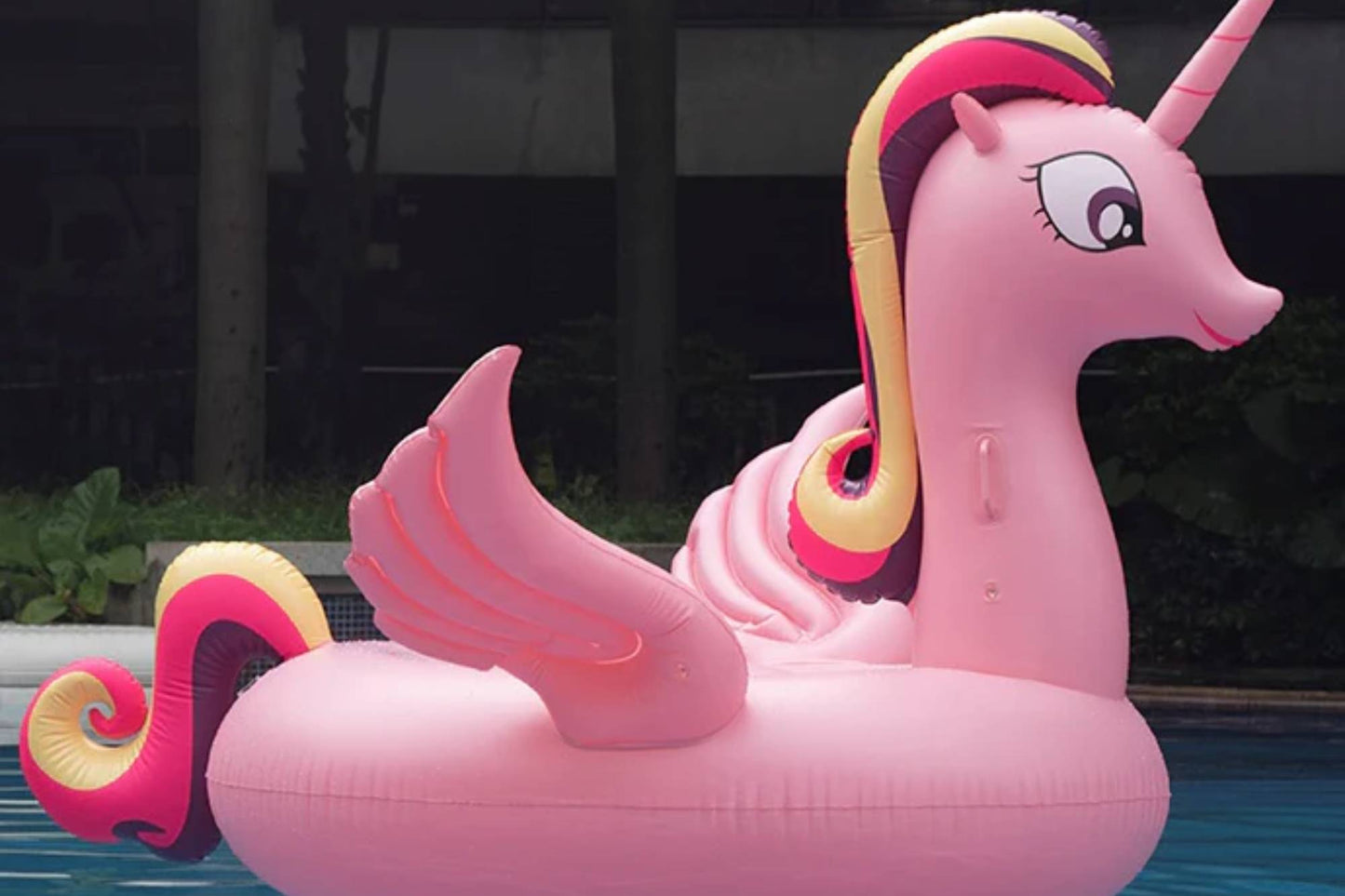 Large Floaties