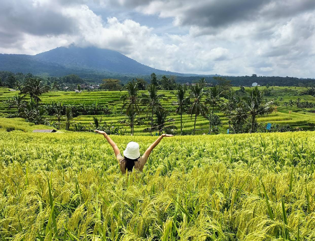 North Bali: Hidden majestic temples & Coffee Trails