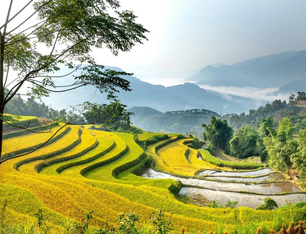 North Bali: Hidden majestic temples & Coffee Trails