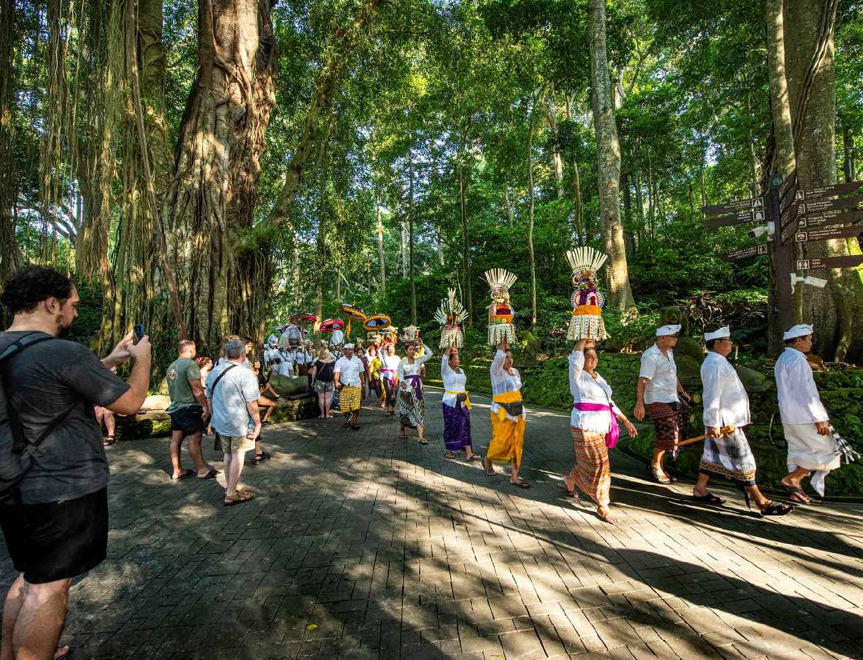 Swing Above Rice Terraces & Explore Ubud’s Sacred Temples