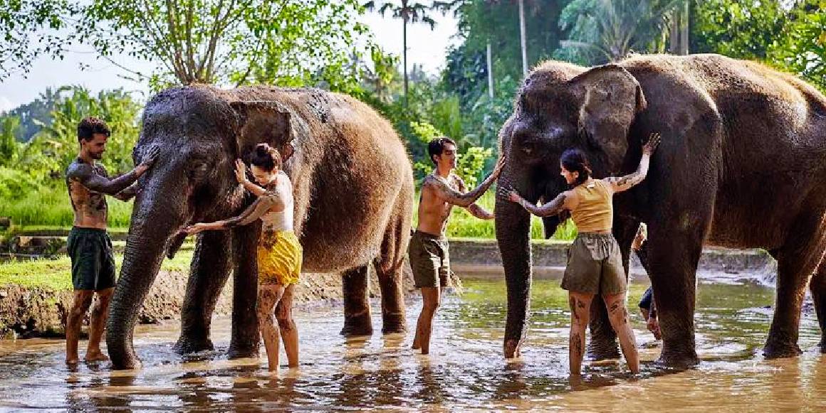 Bali Zoo Adventure