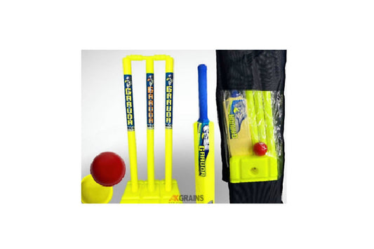 Cricket Set