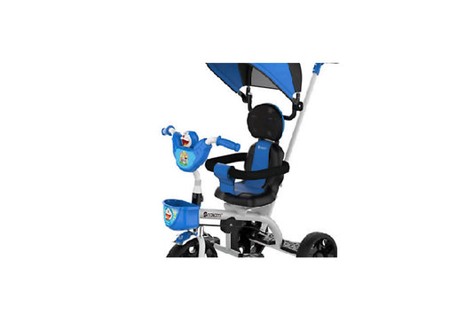 Tricycle with Canopy