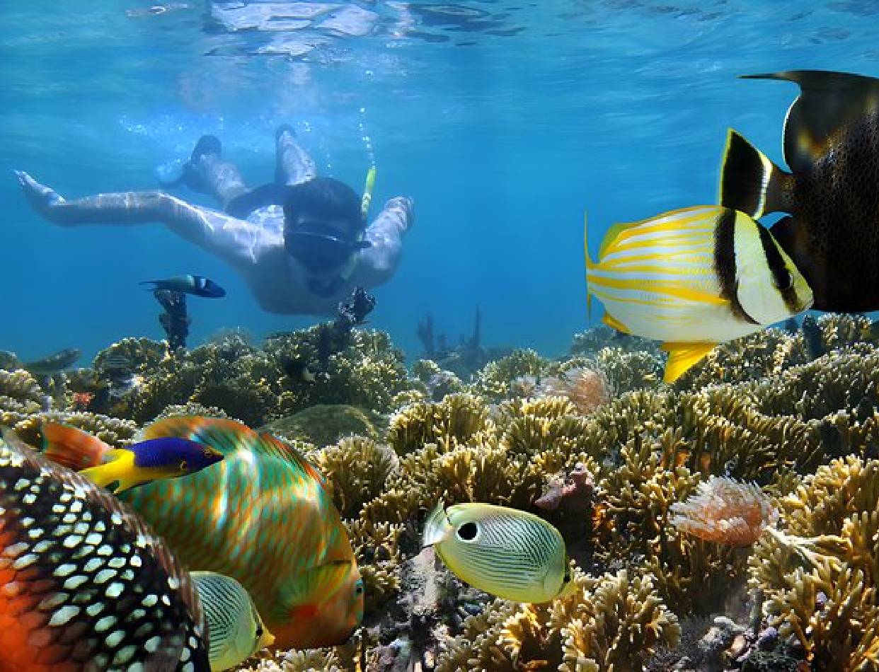 Snorkelling at Padang Bai Blue Lagoon