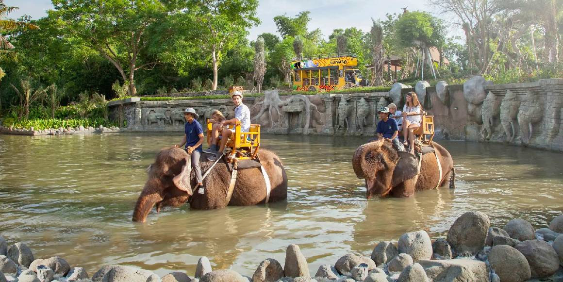 Bali Zoo Adventure