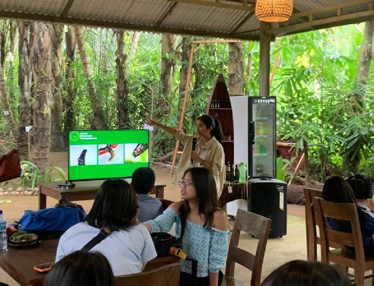 Firefly Conservation