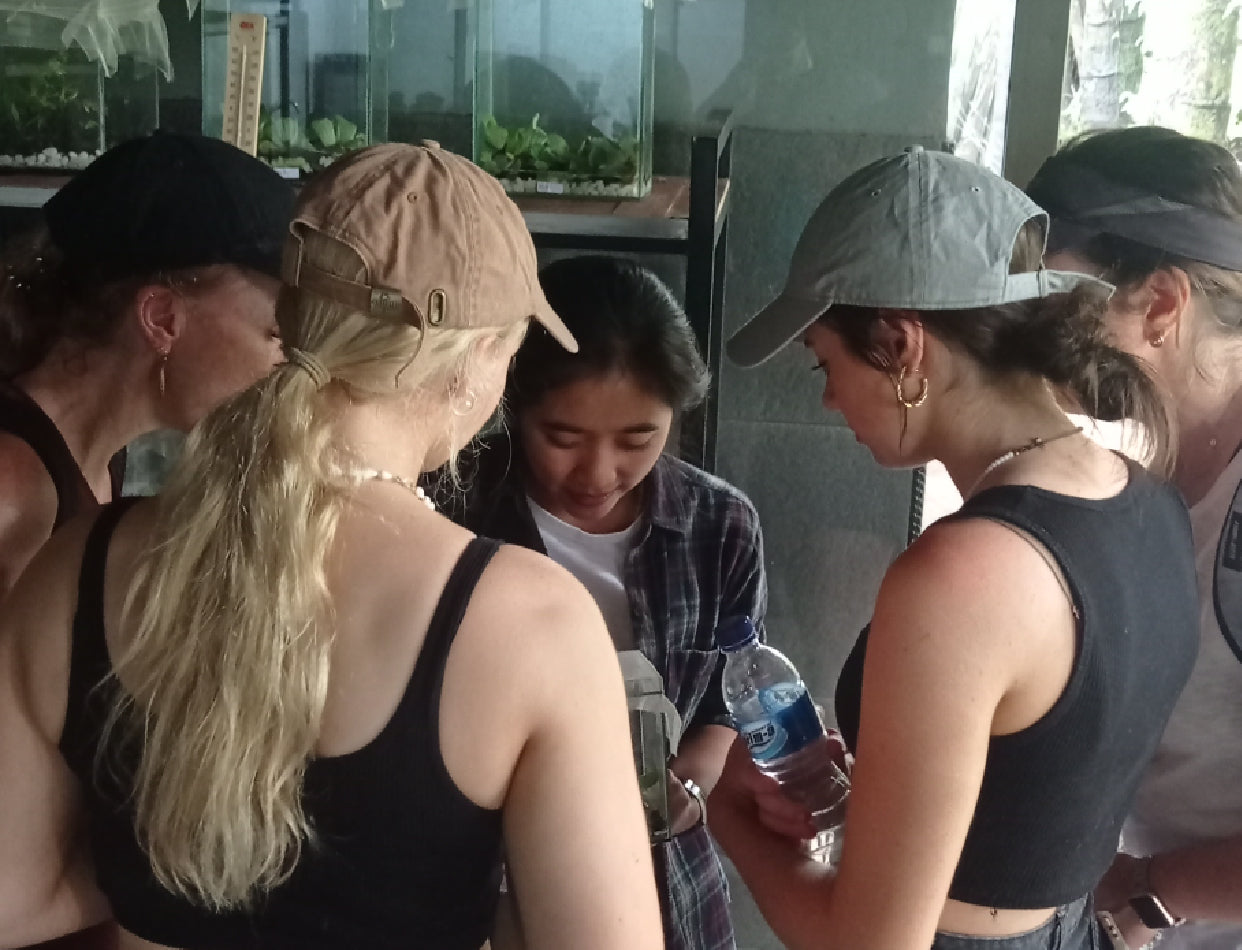 Firefly Conservation