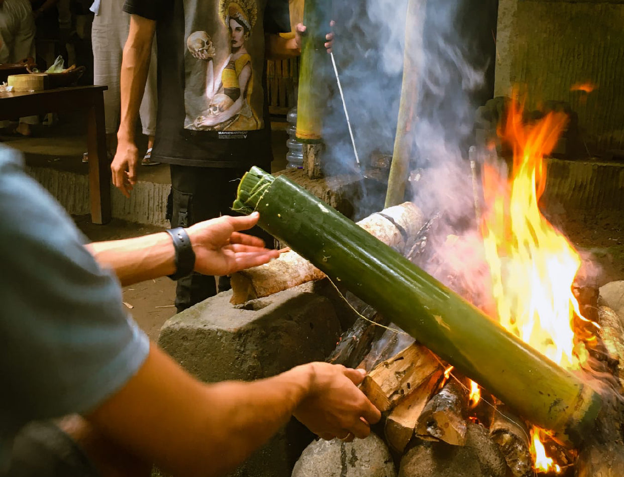 Firefly Conservation