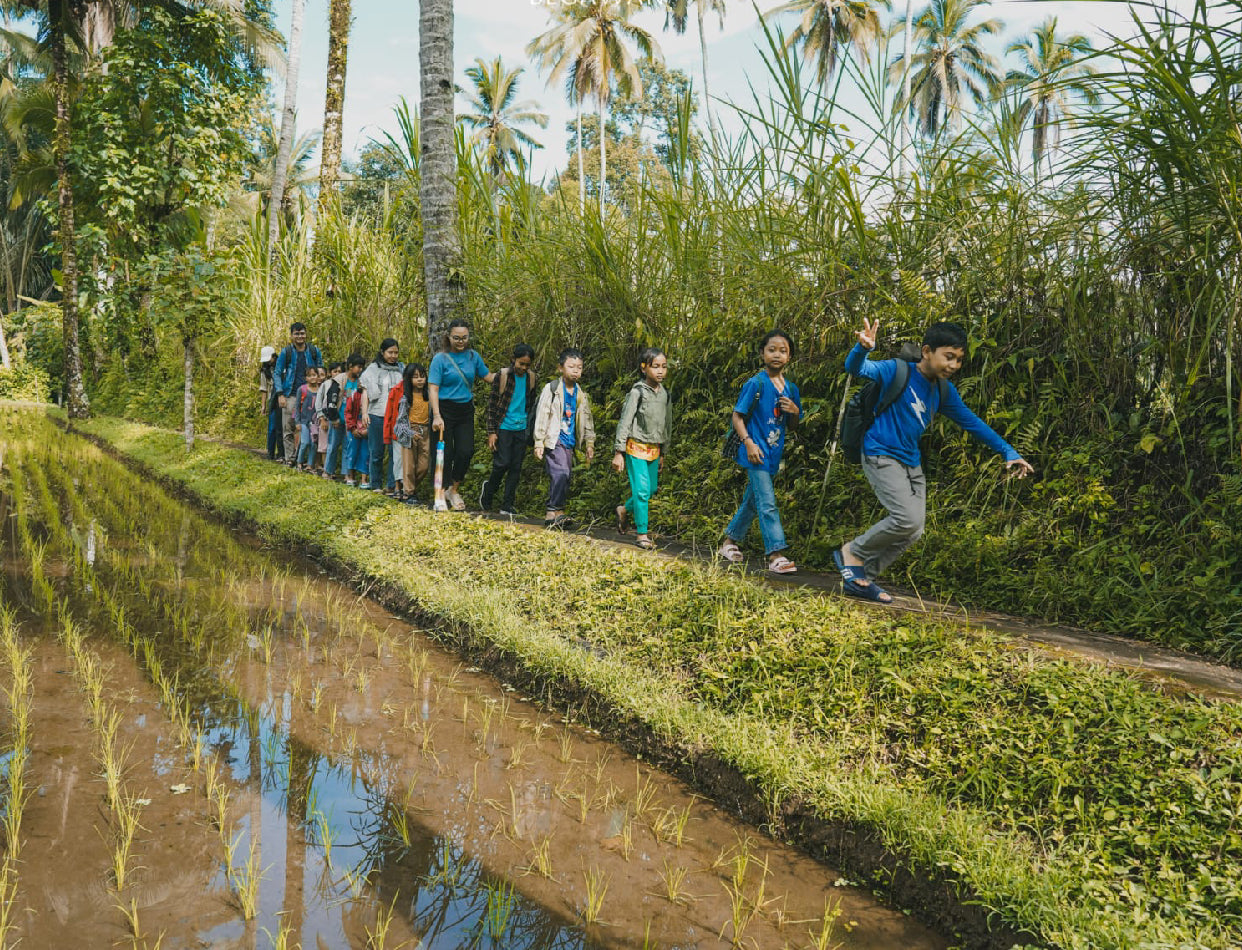 Firefly Conservation