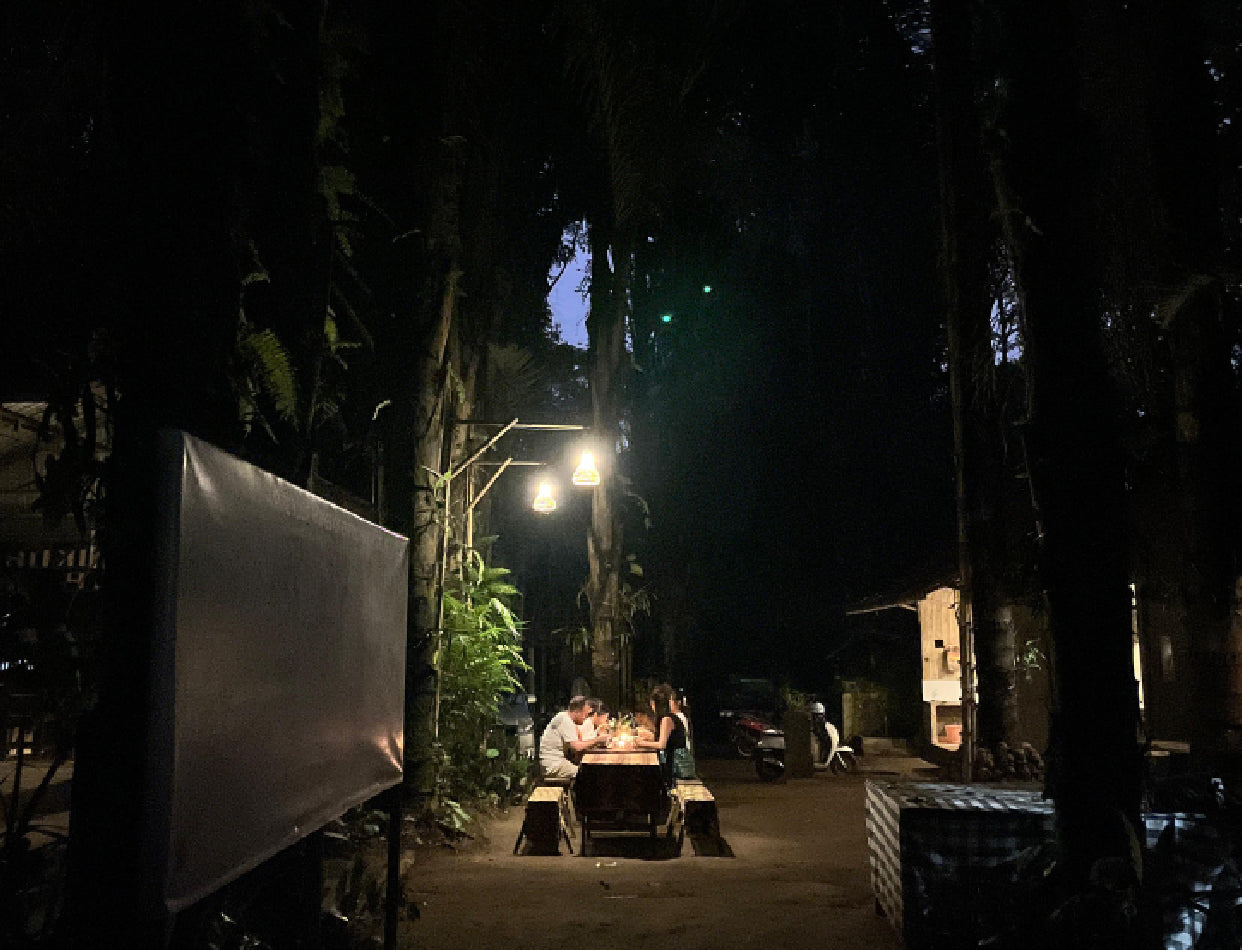 Firefly Conservation