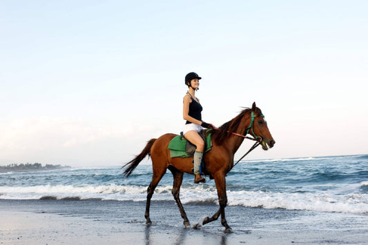 Horse Riding & Ubud Tour