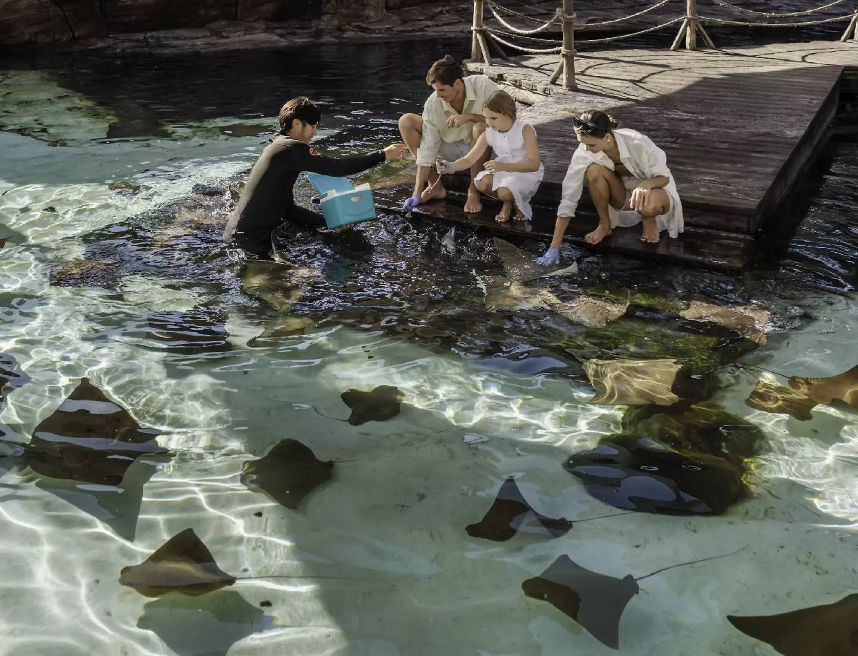 Marine Safari Park