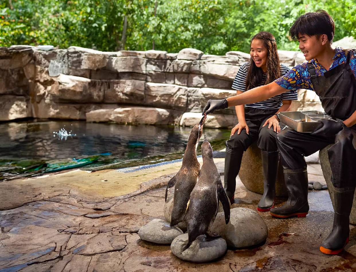 Marine Safari Park
