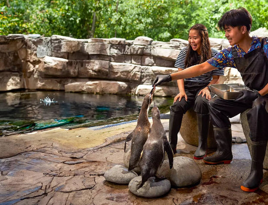 Marine Safari Park