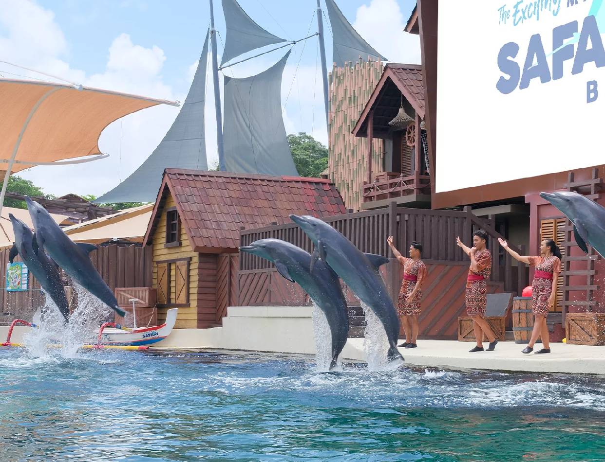 Marine Safari Park