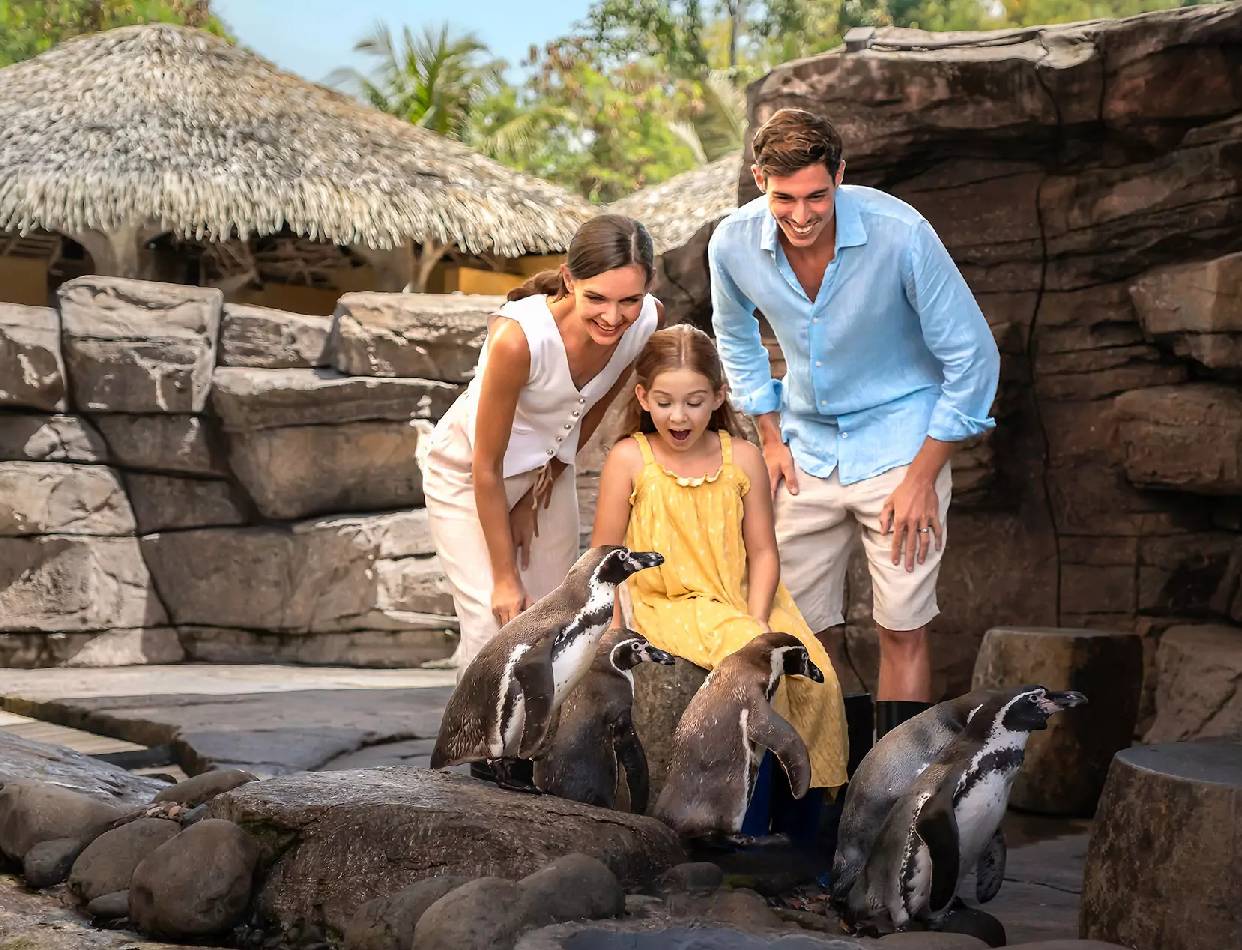 Marine Safari Park