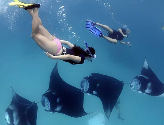 Snorkelling at Nusa Penida (day trip)