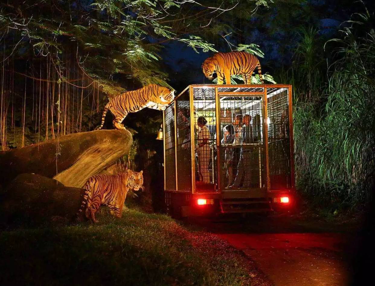 Bali Safari Park