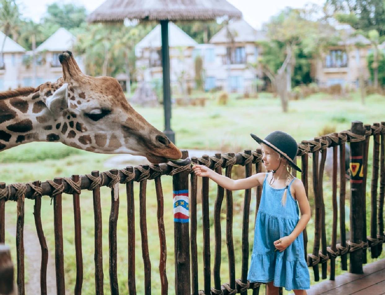 Bali Safari Park