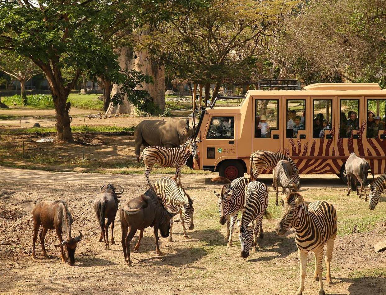 Bali Safari Park
